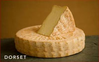 Dorset Artisan Cheese