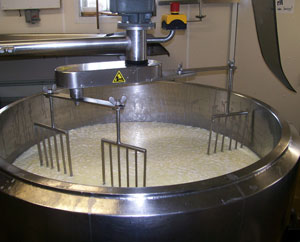 Cheese Vat